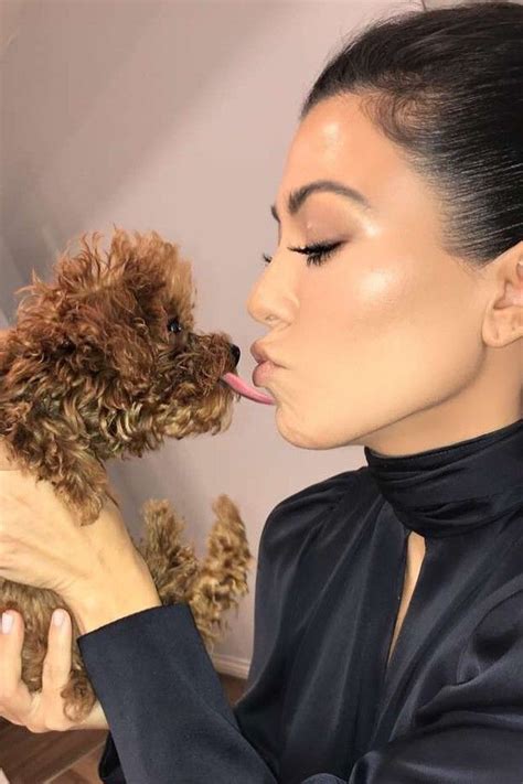 kourtney kardashian dog.